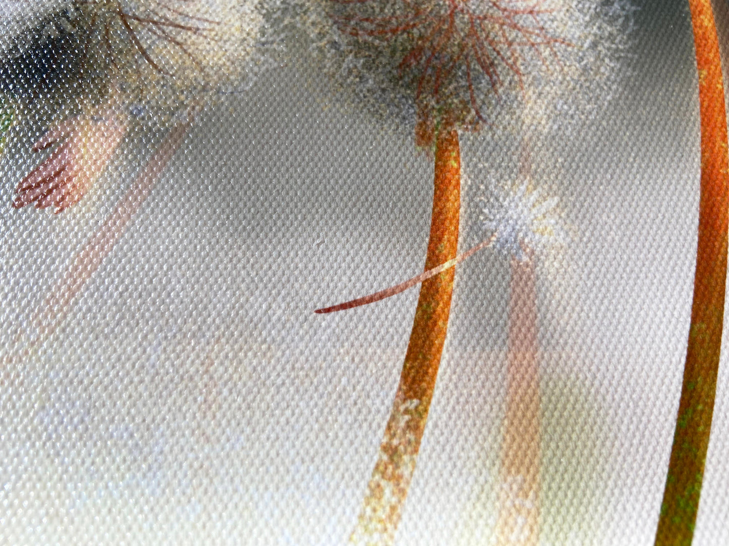Print pe pânză - Dandelions