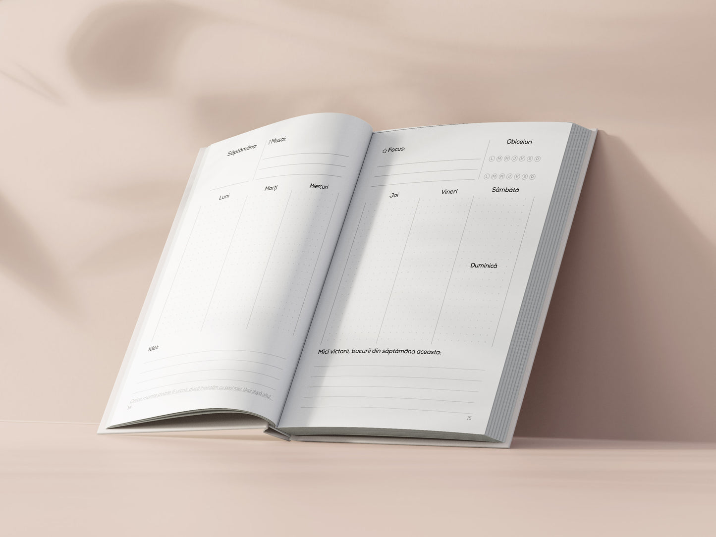 Jurnalul dorințelor împlinite - agendă nedatată pentru productivitate