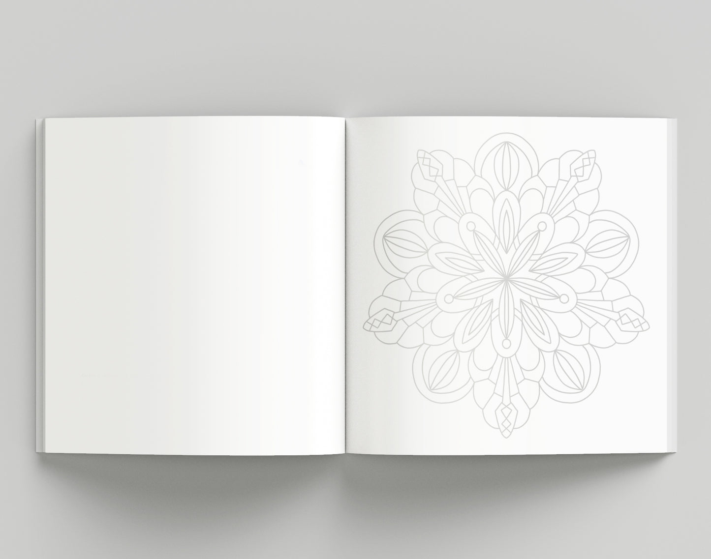 Mandale - Caiet de antrenament pentru mânuțe